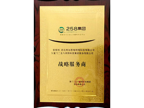 258集團戰略服務商